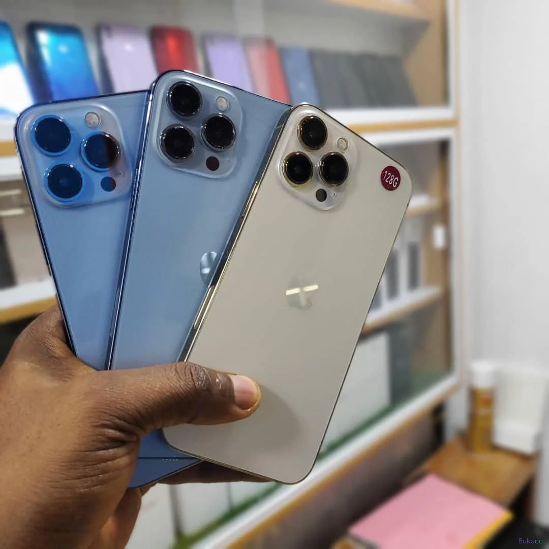 iPhone 13 Pro Max